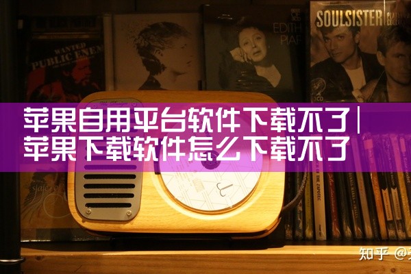 苹果自用平台软件下载不了