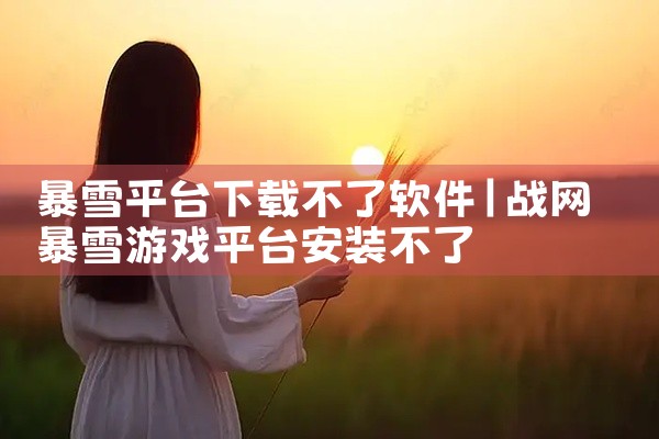 暴雪平台下载不了软件