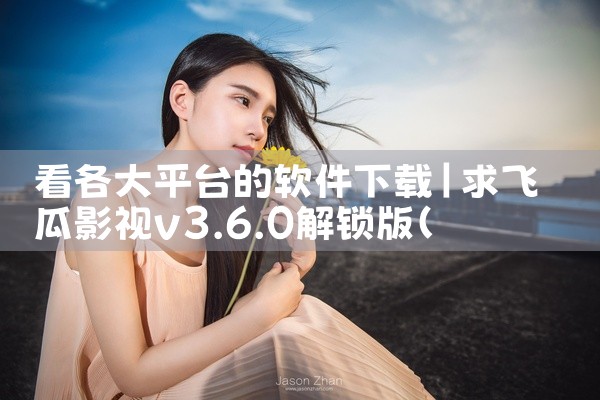 看各大平台的软件下载