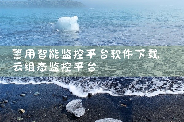 警用智能监控平台软件下载