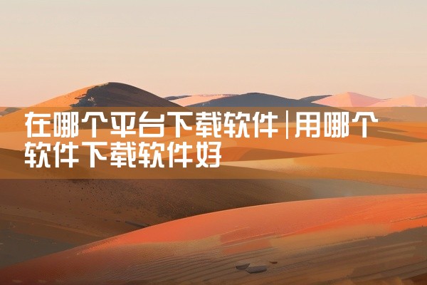 在哪个平台下载软件