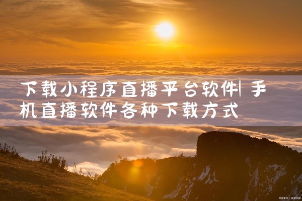 下载小程序直播平台软件