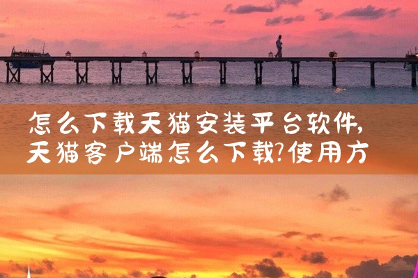怎么下载天猫安装平台软件